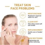 White Rice Skincare Essence Face Serum - Image 3